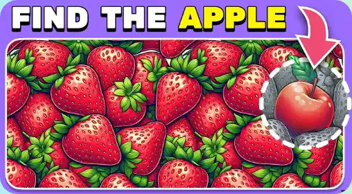 HideMaster Course Review